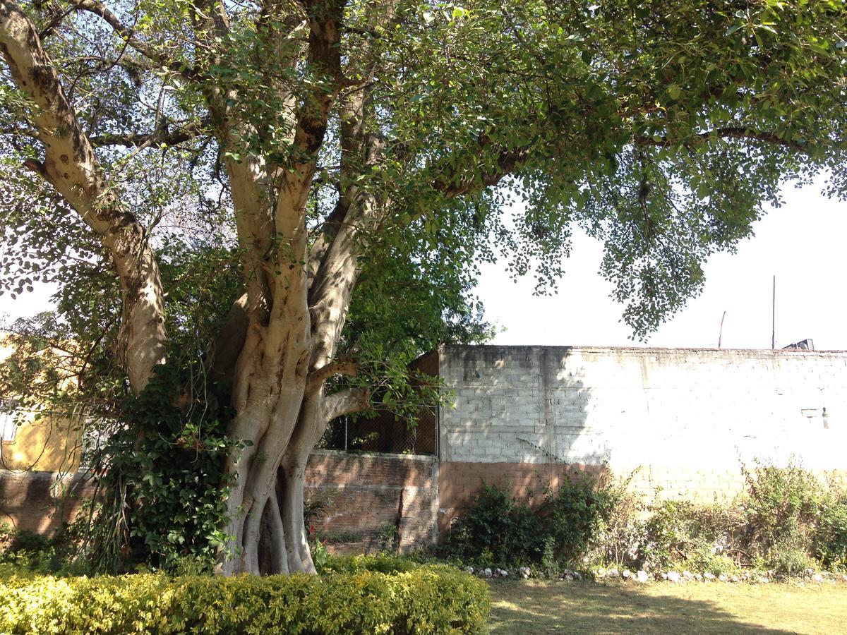Hospedaje Ornelas Ξενοδοχείο Tepoztlan Εξωτερικό φωτογραφία